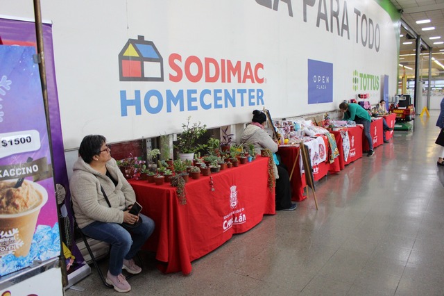 Programa Jefas de Hogar realiza feria en el marco del Día Internacional de La Mujer Emprendedora